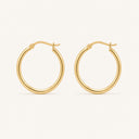 Celine Earrings Gold