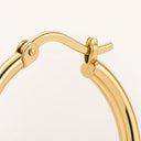 Celine Earrings Gold